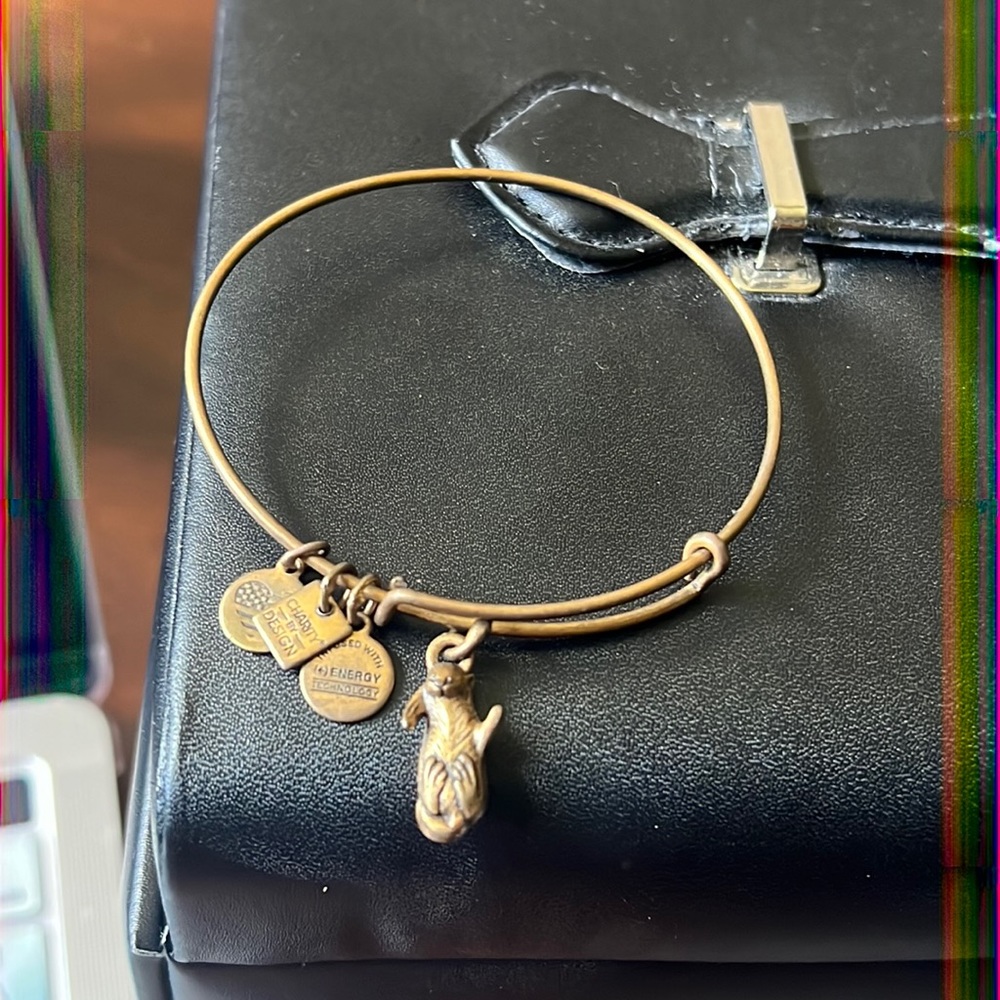 Alex and Ani Otter bracelet